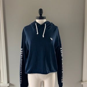 Abercrombie and Fitch Cropped Hoodie